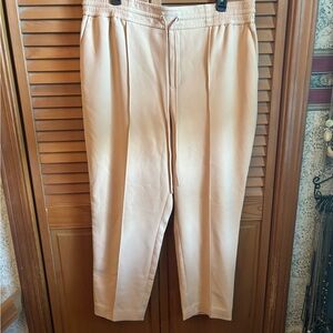 Women’s Nine West Tan Pants with Cream Strip on Side Size 18